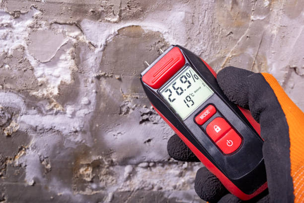 Best Mold Testing  in Glendale, WI